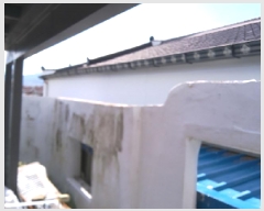  2025Ÿ��31637 ���� ���ֽ� ������ �ݾϵ� 102-159      ����(��1)���