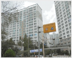  2025Ÿ��31651  ����Ʈ���