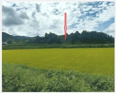  2025Ÿ��31685  �Ӿ߰��