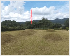  2025Ÿ��31685  �Ӿ߰��