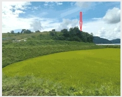  2025Ÿ��31685  �Ӿ߰��