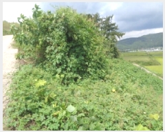  2025Ÿ��31685  �Ӿ߰��