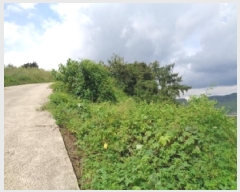  2025Ÿ��31685  �Ӿ߰��