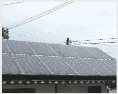  2025Ÿ��31703 ���� �ӽǱ� ����� ��õ�� 613-1      ����(����)���