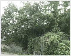  2025Ÿ��31703 ���� �ӽǱ� ����� ��õ�� 613-1      ����(����)���