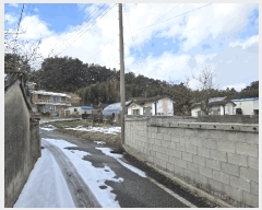  2025Ÿ��247  ���ð��