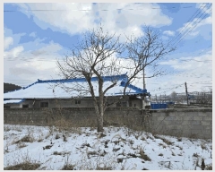  2025Ÿ��247  ���ð��