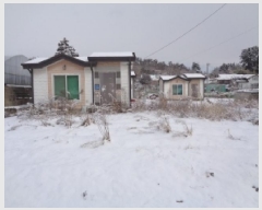  2025Ÿ��247  ���ð��