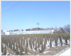  2025Ÿ513  ӽǱ  긮 255-5 2ȣ     ,â