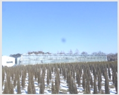  2025Ÿ513  ӽǱ  긮 255-5 2ȣ     ,â