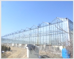  2025Ÿ513  ӽǱ  긮 255-5 2ȣ     ,â