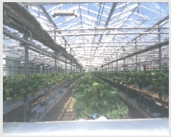  2025Ÿ513  ӽǱ  긮 255-5 2ȣ     ,â