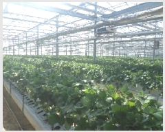  2025Ÿ513  ӽǱ  긮 255-5 2ȣ     ,â