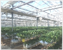  2025Ÿ513  ӽǱ  긮 255-5 2ȣ     ,â