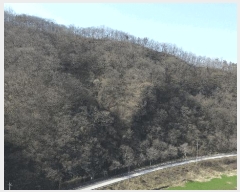  2025Ÿ��592 ���� �ӽǱ� ����� ��õ�� ��100      ����(�Ӿ�)���