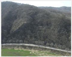  2025Ÿ��592 ���� �ӽǱ� ����� ��õ�� ��100      ����(�Ӿ�)���