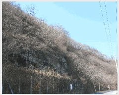  2025Ÿ��592 ���� �ӽǱ� ����� ��õ�� ��100      ����(�Ӿ�)���