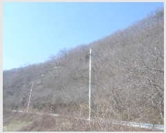  2025Ÿ��592 ���� �ӽǱ� ����� ��õ�� ��100      ����(�Ӿ�)���