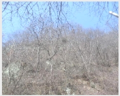  2025Ÿ��592 ���� �ӽǱ� ����� ��õ�� ��100      ����(�Ӿ�)���