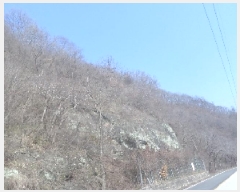  2025Ÿ��592 ���� �ӽǱ� ����� ��õ�� ��100      ����(�Ӿ�)���