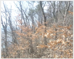  2025Ÿ��592 ���� �ӽǱ� ����� ��õ�� ��100      ����(�Ӿ�)���