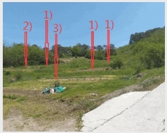  2025Ÿ��661  ����