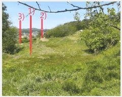  2025Ÿ��661  ����