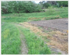  2025Ÿ��661  ����