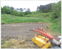  2025Ÿ��661  ����