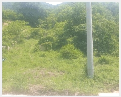  2025Ÿ688  ֱ  ſ 861      (1)