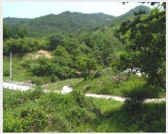  2025Ÿ688  ֱ  ſ 861      (1)