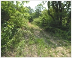  2025Ÿ688  ֱ  ſ 861      (1)