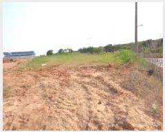  2025Ÿ705   Ŵ 281       (1)