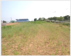  2025Ÿ705   Ŵ 281       (1)