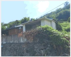  2025Ÿ��755  ���ð��