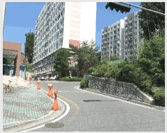  2025Ÿ��776  ����Ʈ���