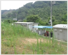  2025Ÿ806  ȱ α͸ Ȳݸ 289-12      ()