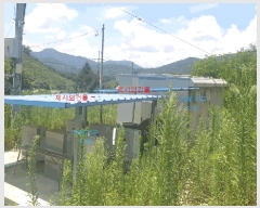  2025Ÿ806  ȱ α͸ Ȳݸ 289-12      ()