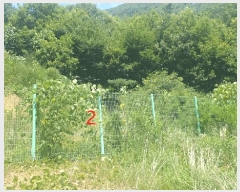  2025Ÿ806  ȱ α͸ Ȳݸ 289-12      ()