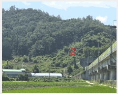  2025Ÿ��857 ���� �ӽǱ� ������ ���� ��194      ����(�Ӿ�)���