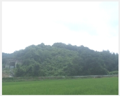  2025Ÿ��857 ���� �ӽǱ� ������ ���� ��194      ����(�Ӿ�)���