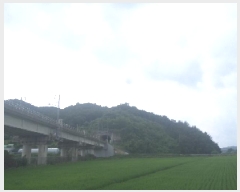  2025Ÿ��857 ���� �ӽǱ� ������ ���� ��194      ����(�Ӿ�)���