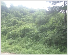  2025Ÿ��857 ���� �ӽǱ� ������ ���� ��194      ����(�Ӿ�)���