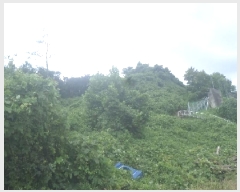  2025Ÿ��857 ���� �ӽǱ� ������ ���� ��194      ����(�Ӿ�)���