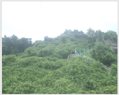  2025Ÿ��857 ���� �ӽǱ� ������ ���� ��194      ����(�Ӿ�)���