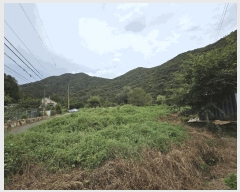  2025Ÿ��947  �Ӿ߰��