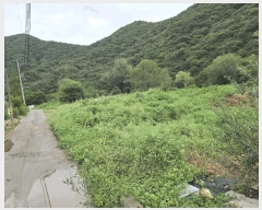  2025Ÿ��947  �Ӿ߰��