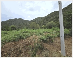  2025Ÿ��947  �Ӿ߰��