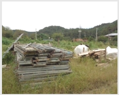  2025Ÿ��947  �Ӿ߰��