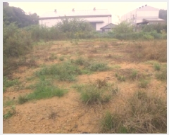  2025Ÿ��970  ����